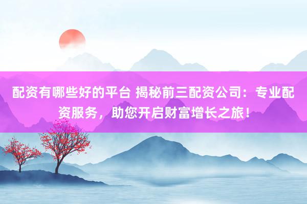 配资有哪些好的平台 揭秘前三配资公司：专业配资服务，助您开启财富增长之旅！