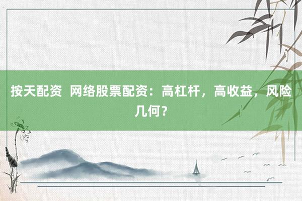按天配资 网络股票配资:高杠杆,高收益,风险几何?