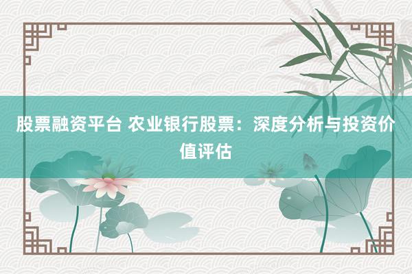 股票融资平台 农业银行股票：深度分析与投资价值评估