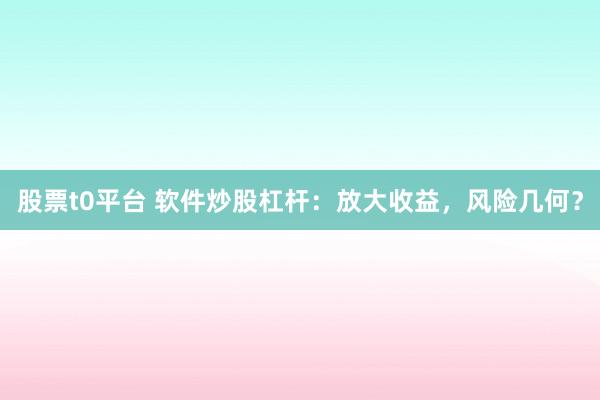 股票t0平台 软件炒股杠杆：放大收益，风险几何？
